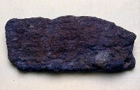 藏品(鯨類碎骨)的圖片